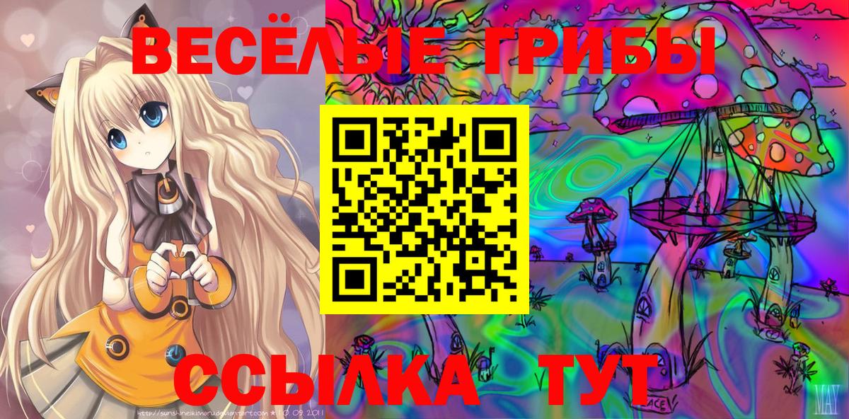 Галлюциногенные грибы GOLDEN TEACHER  Вход с VPN  Сочи 