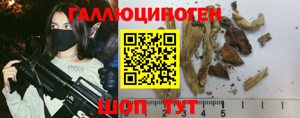 Псилоцибиновые грибы Magic Shrooms Сочи